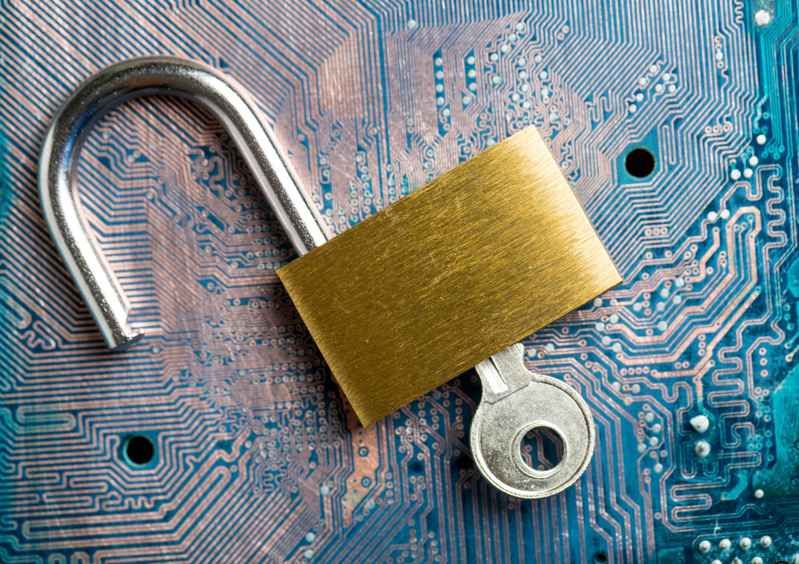Investigating The Layladeline Data Breach - iexlouu