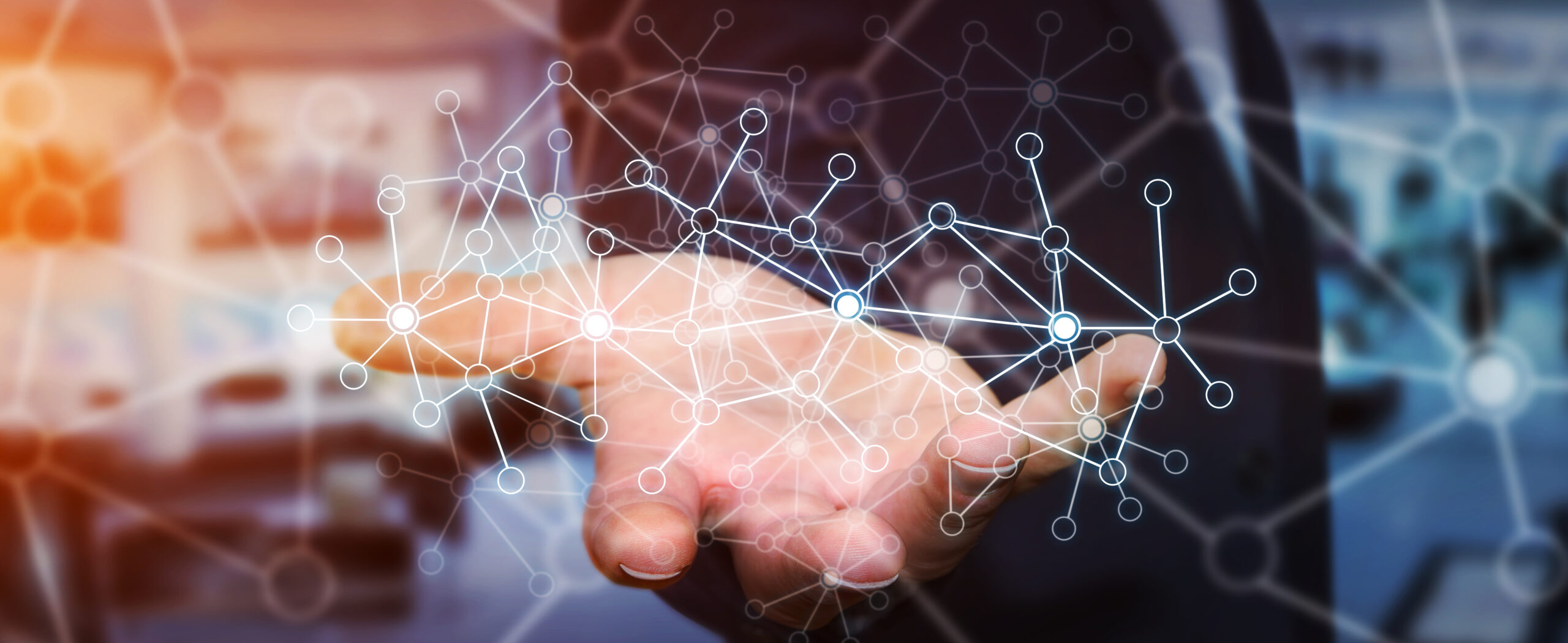 The virtualised network: the backbone for future businesses