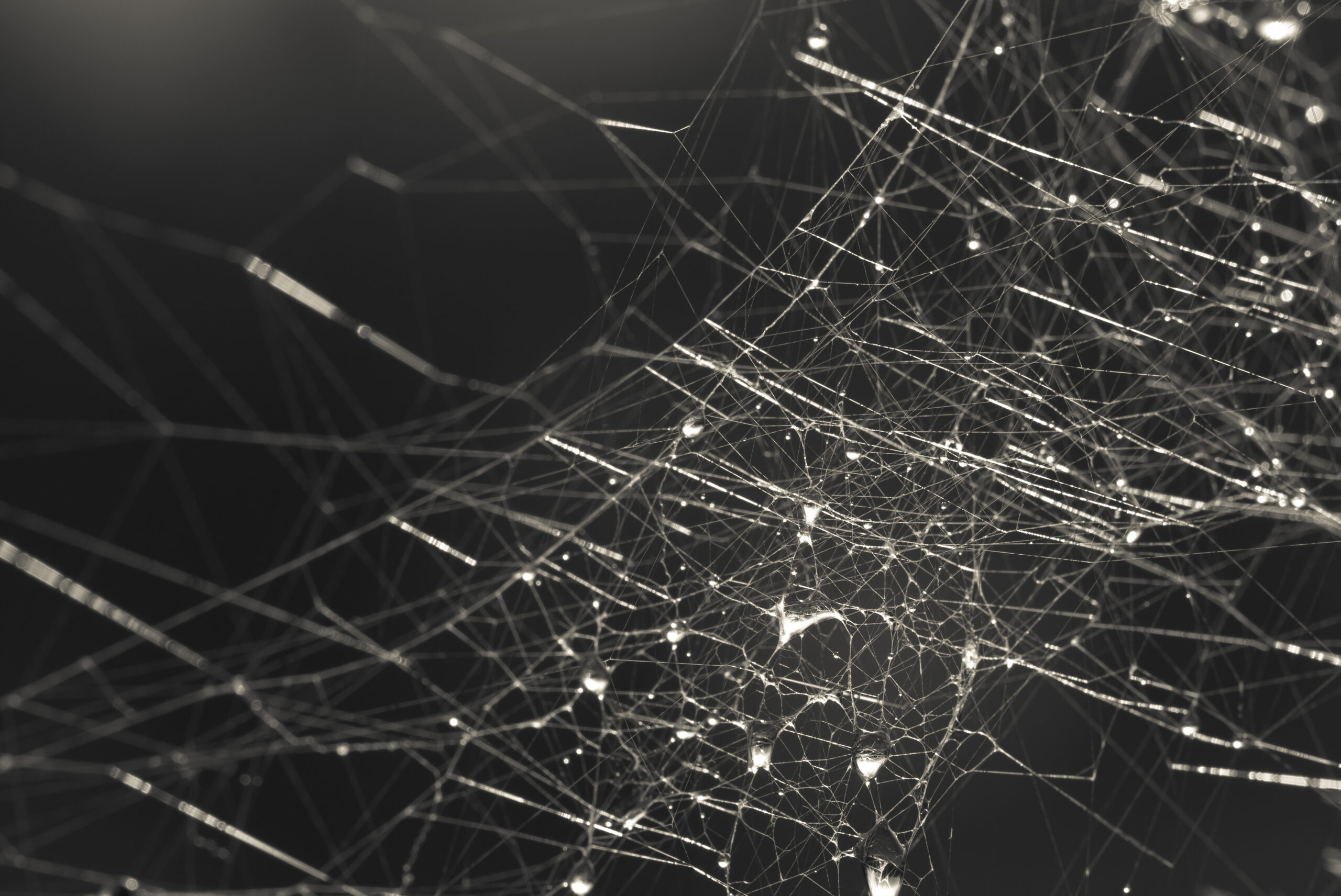 AlphaBay and Hansa shutdown — just the tip of the iceberg