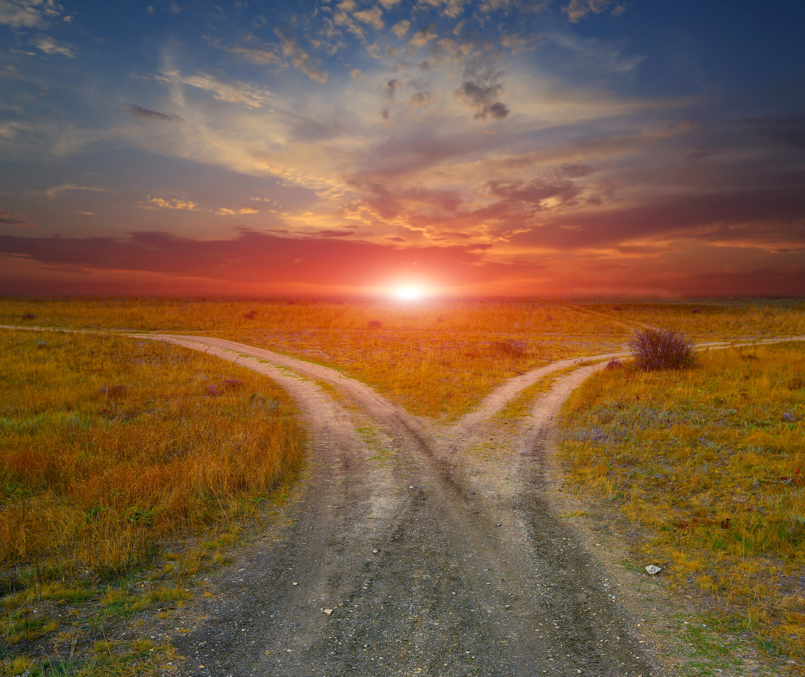 Полупрозрачный фон дорога. Развилка сердце. Развилка дорог. Дороги расходятся. Развилка сердце.