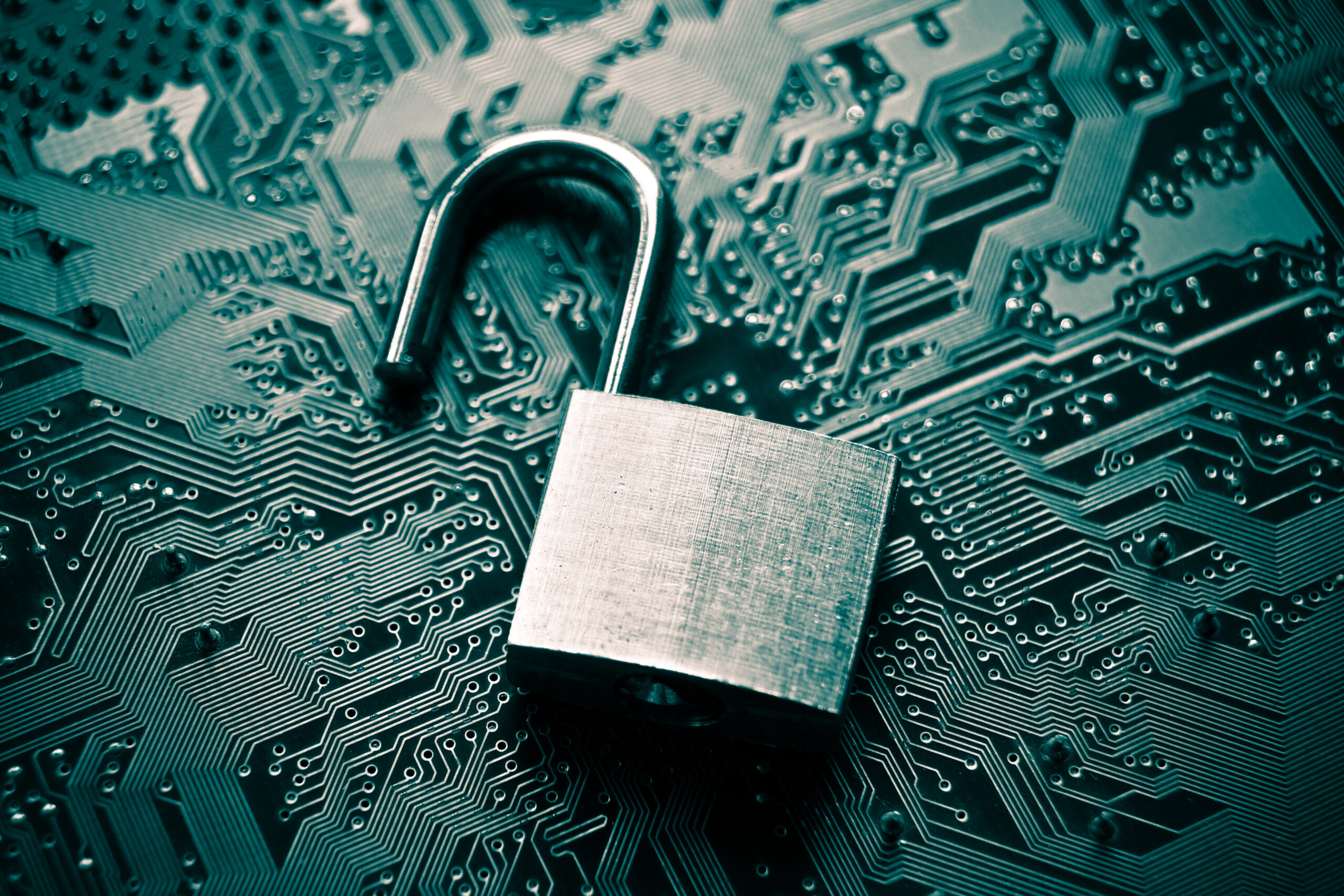 Investigating The Layladeline Data Breach - 59pe8ll