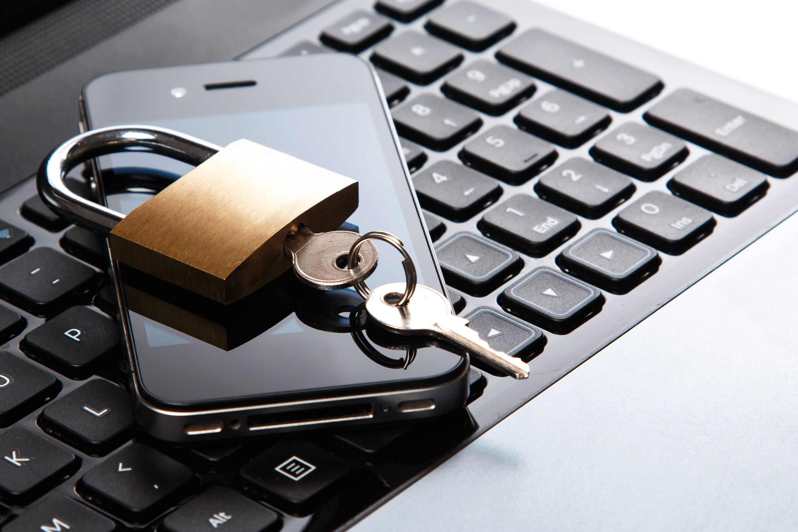 Understanding The Ashleyyyreyyy  Data Breach - fa6102x
