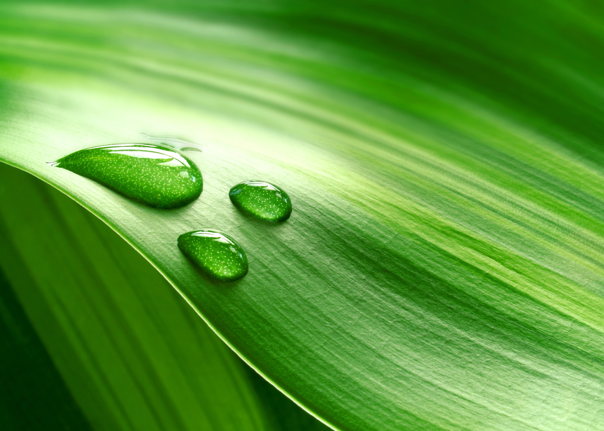 Does green always mean clean? Information Age Does green always mean clean? Information Age