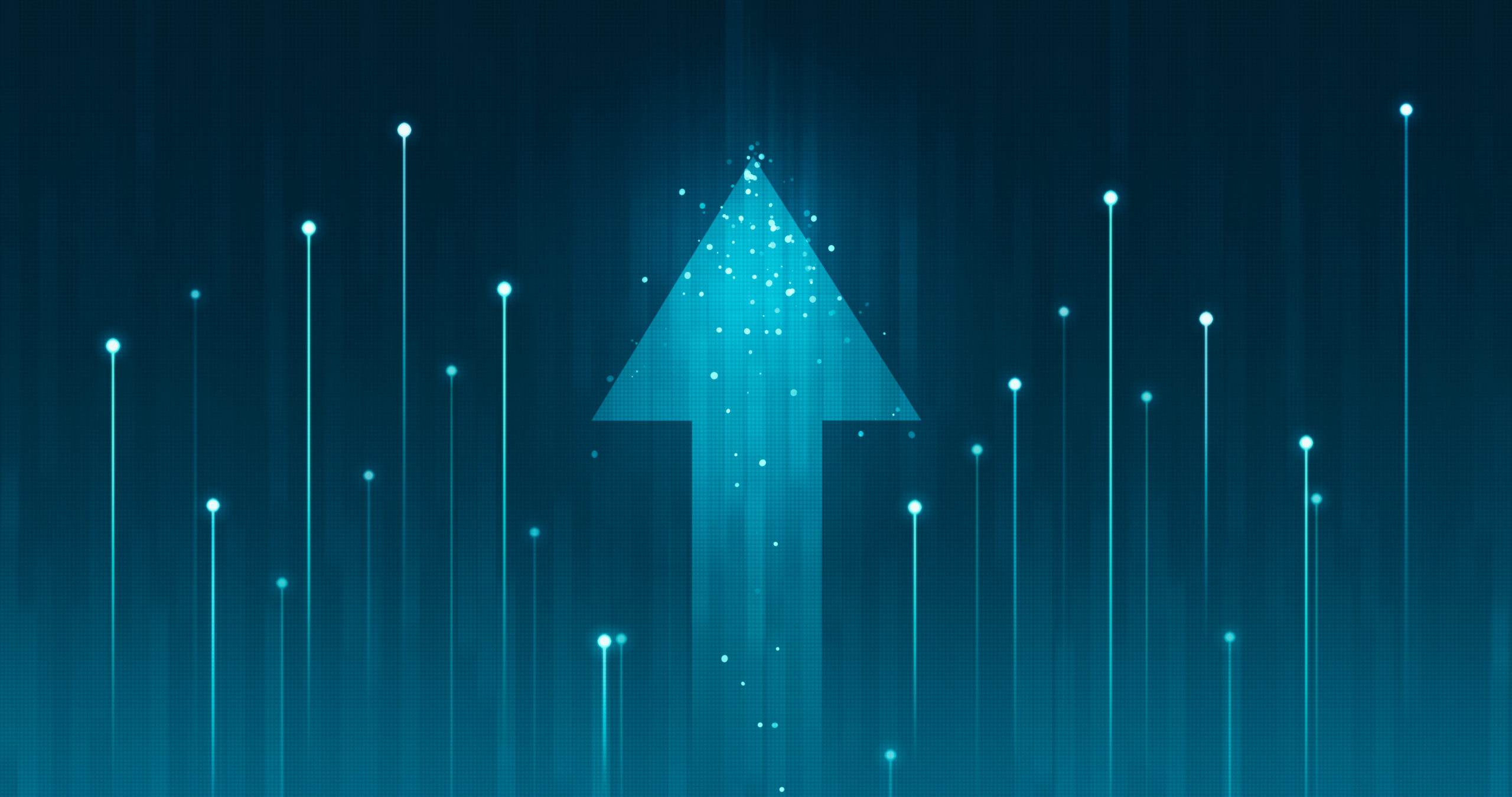 digital skills