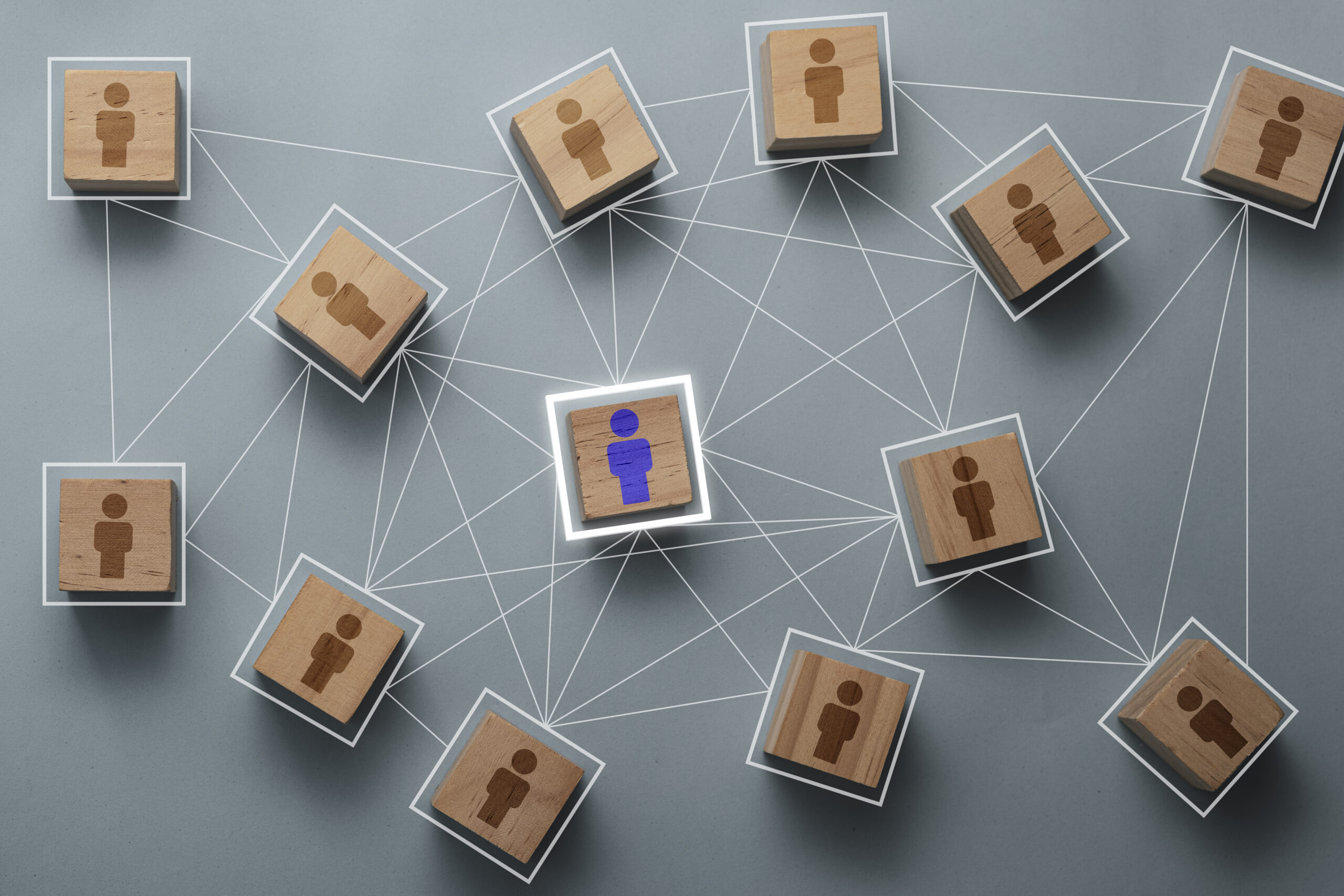 tech leadership roles