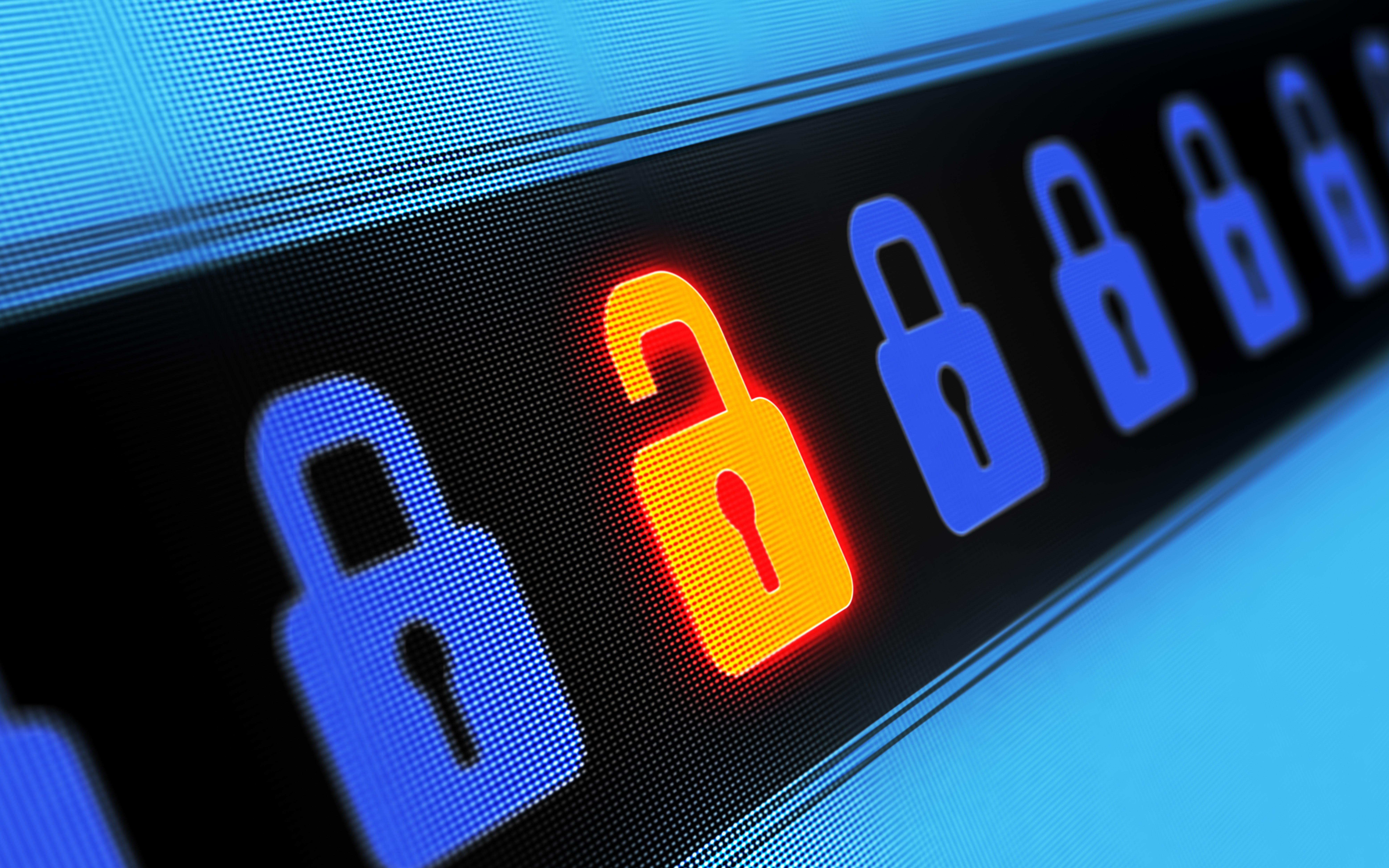 Software security flaws